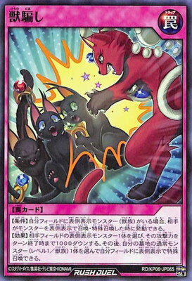 ͷåǥ奨 RDKP06-JP065 ٤