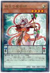 遊戯王 第10期 LGB1-JP036 相生の魔術師【ノーマルパラレル】