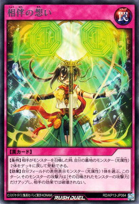 ͷåǥ奨 RDKP13-JP064 ȼۤ R