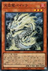 遊戯王 第12期/04弾/LEDE-JP016 天盃龍パイドラ【スーパーレア】