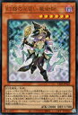 遊戯王 第12期/04弾/LEDE-JP029 幻惑の見習い魔術師