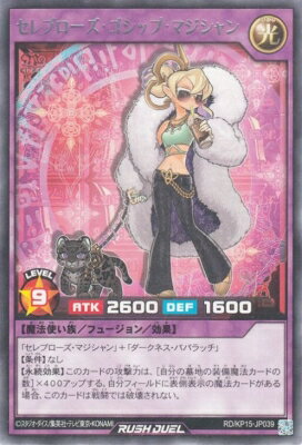 ͷåǥ奨 RD/KP15-JP039 ֥åסޥ R