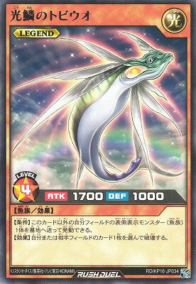 ͷåǥ奨 RD/KP16-JP034 ڤΥȥӥ R
