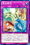 遊戯王 第9期 3弾 SECE-JP076　憑依解放