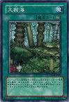 遊戯王 第6期 3弾 CRMS-JP060　大樹海