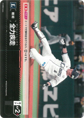ɥ꡼४ PBP02PDO-07 ϼں饤󥺡 C