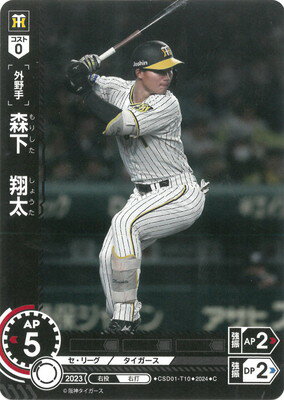 ե륢إåɤ㤨֥ɥ꡼४ CSD01-T10  CפβǤʤ40ߤˤʤޤ