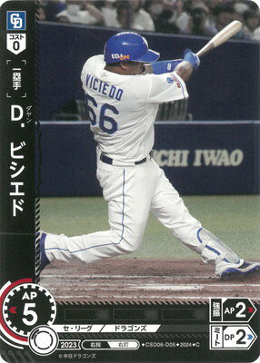 ɥ꡼४ CSD06-D05 Dӥ C