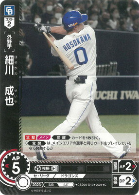 ɥ꡼४ CSD06-D10  C