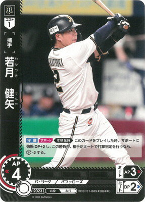 ドリームオーダー PBP01-B09 若月　健矢 C