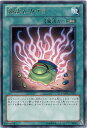 遊戯王 第7期 6弾 PHSW-JP057　強欲なカケラ　R