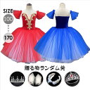 バレエダンス 子供ダンス衣装 演出バレエ 大きいサイズ バレエ ワンピース 子供バレエ 子供用舞台衣装 バレエ発表会 レオタード 女の子 可愛い かわいい ダン...