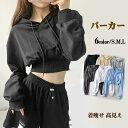 トップス レディース パーカー ダンス衣装 ヒップホップ ショート丈 長袖 ダンス 衣装 フード クロップトップス 韓国 k-pop ジュニア ガールズ シンプル ゆったり カジュアル グレー オーバーサイズ S M L