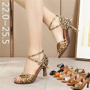 社交ダンス シューズ ダンスシューズ レディース ダンスヒール ストラップ レディース靴 パンプス 練習用 演出 発表会 イベント モダン ラテン兼用社交ダンスシューズ 大きいサイズ 室内用底 室外用底 di160g4g4g5