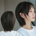 ウィッグ ショート ボブ フルウイッグ ショートボブ レディースファッション コスプレ 女装 原宿系 ファッション ハロウィン 自然なヘアスタイル かつら ファッション dp043g4g4g5