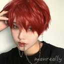 ウィッグ メンズ フルウィッグ ショートウィッグ ショートヘア 短髪 かつら 自然 ナチュラス 前髪あり コスプレ 男装 おしゃれ かっこいい 可愛い かわいい...