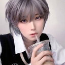 ウィッグ フルウィッグ ショートウィッグ ショートヘア 短髪 かつら 演劇 自然 前髪あり メンズ コスプレ 男装 おしゃれ かっこいい 可愛い かわいい ショート 耐熱ウィッグ 小顔効果抜群 コスチューム 文化祭 学園祭 イベント グレー パープル ブルー グリーン dp029g5g5g5
