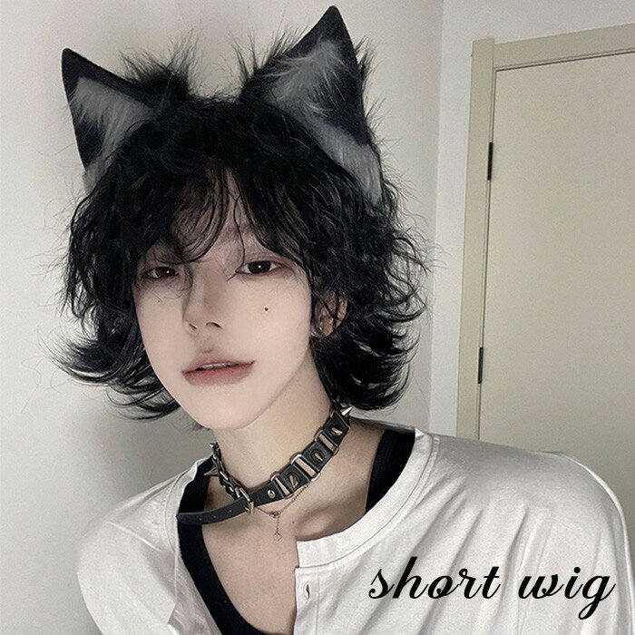 ウィッグ 男装 メンズ 短髪 黒髪 かつら 自然 フルウィッグ ショートウィッグ ショートヘア 前髪あり コスプレ おしゃれ かっこいい 可愛い ショート 耐熱ウィッグ 小顔効果抜群 コスチューム 仮装 演劇 文化祭 学園祭 ハロウィン イベント 韓国風 de161n1n1x0