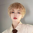 ウィッグ メンズ 男装 短髪 かつら フルウィッグ ショートウィッグ 巻き髪 コスプレウィッグ 可愛い ショート ショートヘア 演劇 自然 前髪あり コスプレ ...