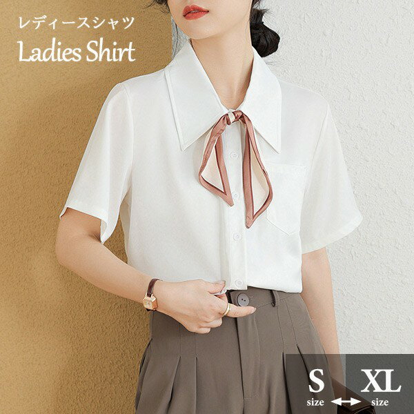 ブラウス レディース シャツ トップス 半袖あり 袖付き リボン付き 透け感 ビジネス フェミニン スーツインナー 事務服 セクシー サマー 長袖 袖あり 韓国風 シースルー 可愛い かわいい 夏 涼しい オフホワイト 白 dk140x1x1n1