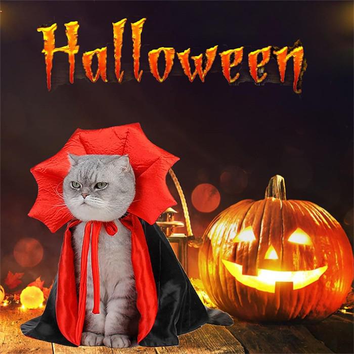 ハロウィン コスプレ ペット用 吸血鬼 マント...の紹介画像2