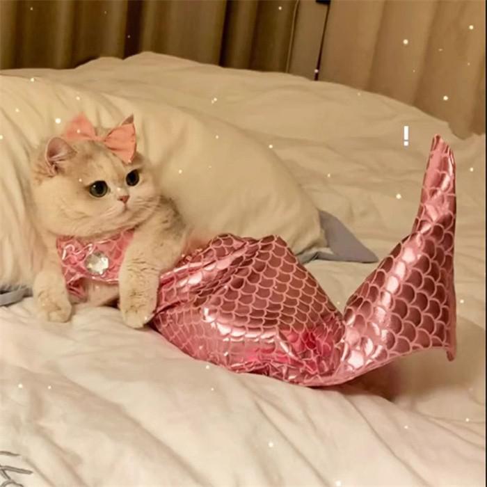 人魚衣装 猫 犬 ペット コスプレ マーメイド...の紹介画像3