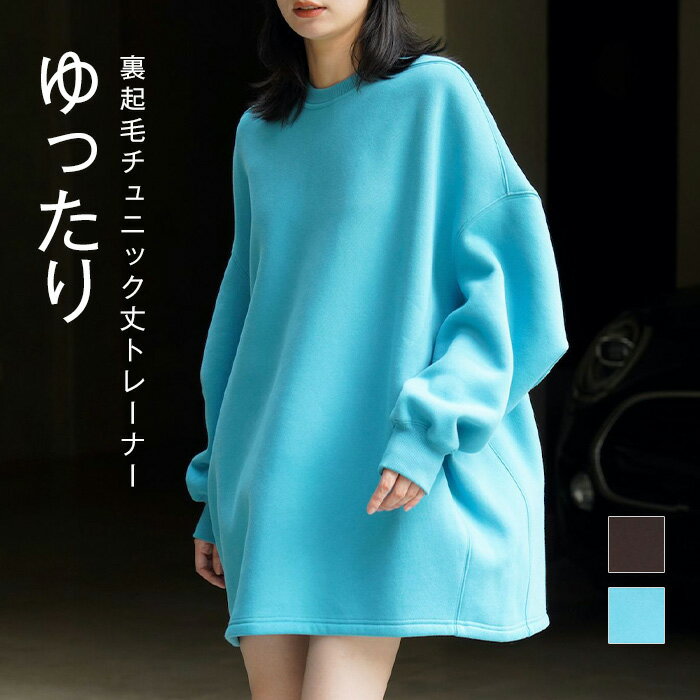 チュニック レディース 裏起毛 春 秋 トレーナー チュニック 長袖 プルーオーバー 大きいサイズ ゆったり ビックシルエット ゆるっと 体型カバー 春秋 あったか 裏起毛 オシャレ シンプル カジュアル 着回し