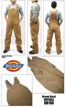 オーバーオール メンズ Dickies ディッキーズ DB100 DB-100 Brown Duck ブラウンダック ブラウン ダック ストライプ 大きい 大きいサイズ レディース ワークショーツ チノパンツ ディッキ族 つなぎ 作業着 おしゃれ ツアー フェス ディッキーズ 送料無料 バッグ