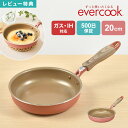 【特典あり】フライパン エバークック evercook IH 20cm オムレツ ドウシシャ DOSHISHA EIFP20MPK ガス対応 500日保証 ミス...
