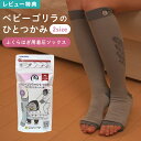 ベビーゴリラのひとつかみ ゴリラ