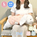 【6/5限定!抽選で最大300%ポイント還元★】ねむねむアニマルズ L カバー 抱き枕カバー ひんやり 接触冷感 洗える 洗濯機 丸洗い 清潔 だきまくら ぬい...