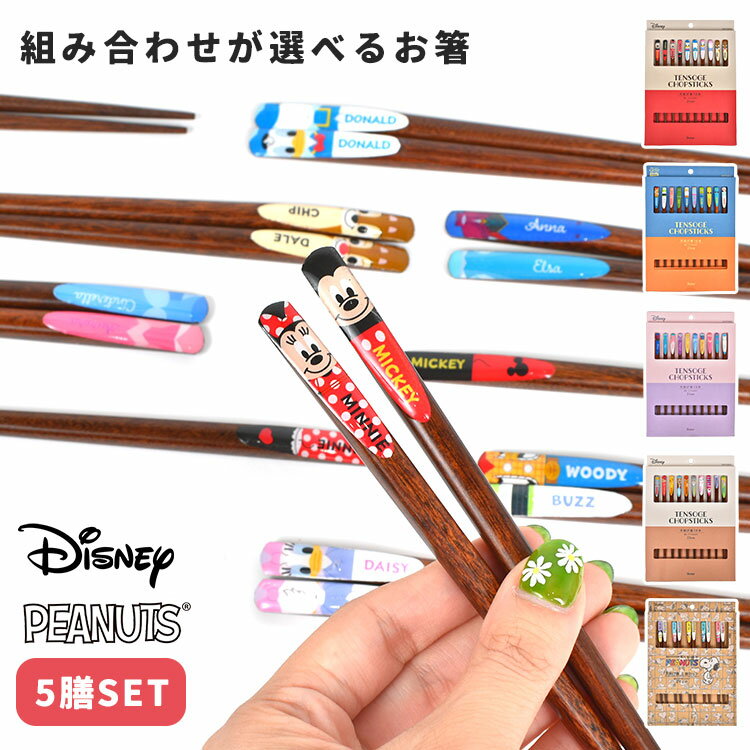 箸 ミッキー ミニー スヌーピー はし 子供 大人 5膳セット おしゃれ かわいい キャラクター キ