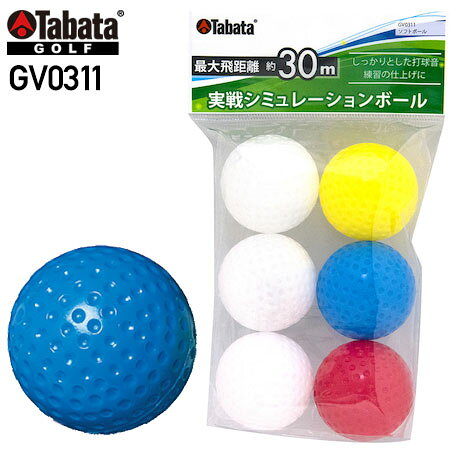 乐天商城 - 【ゴルフ】【トレーニング】タバタゴルフ Tabata GOLF ソフトボール GV0311【練習ボール】