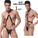 メンズ セクシーコスチューム セクシーランジェリー ベビードール スケスケ 透ける コスプレ衣装 大人用 ワンピース sm スケスケ 全身タイツ 悩殺 セクシー...