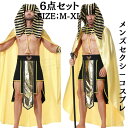 セクシーコスチューム メンズ ハロウィン衣装 エジプト クレオパトラ コスチューム コスプレ 大人用 コスプレ衣装 ハロウィン メンズ 仮装 変装 お化け ファラオ 学園祭 文化祭 余興 男性 メンズ 国王様 王子様 仮装 男性用 王様 面白い 貴族 男 伯爵 王冠(3)