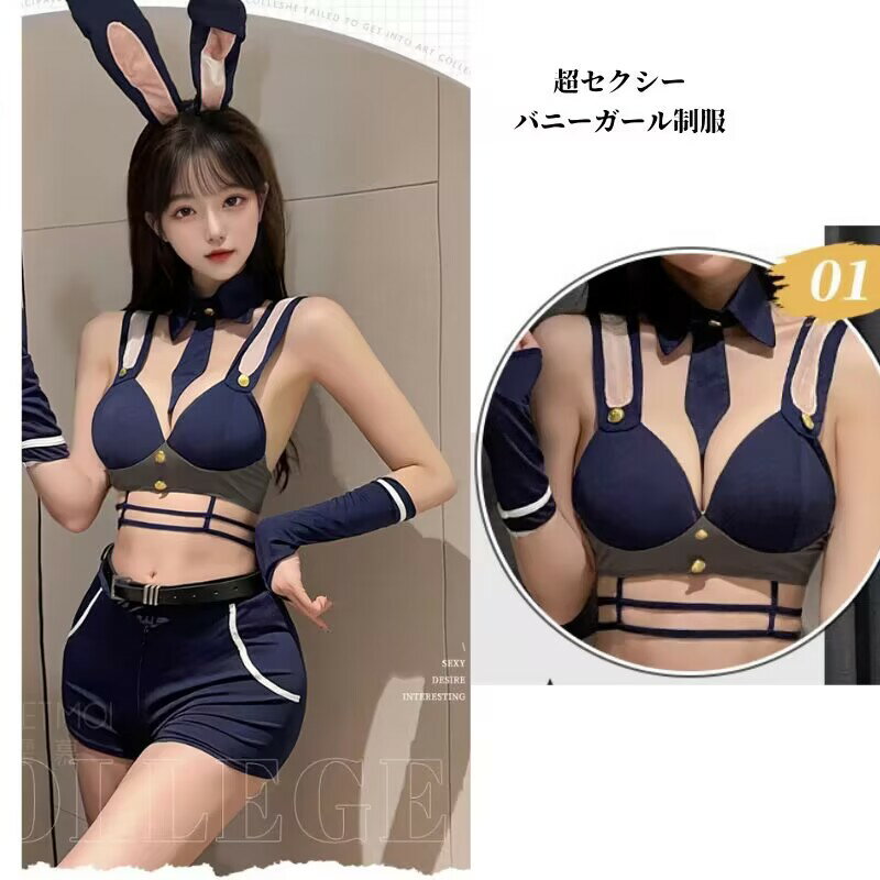 ランジェリー 下着 バニーガール 穴あき セクシー 透ける 過激 上下セット バニー オープンクロッチ うさ耳 うさぎ コスプレ 衣装 仮装 おしゃれ 可愛い レディース 大人 女性 コスチューム Tバック エロい アダルト 大人 fxy2323 2