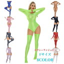 全身タイツ ボディストッキング ボディスーツ ストッキング ランジェリー セクシー 光沢 コスプレ セクシーコスプレ セクシーランジェリー ナイトコスプレ エロ コスチューム 衣装 全身タイツ! ボディスーツランジェリーコスチューム
