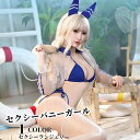 ランジェリー 下着 レース バニーガール 穴あき セクシー 透ける 過激 オールインワン バニー オープンクロッチ うさ耳 フリル うさぎ コスプレ 衣装 仮装 おしゃれ 可愛い レディース 大人 女性 コスチューム Tバック エロい アダルト 大人
