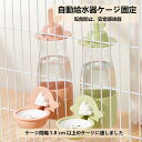 ウサギ 給水ボトル 小動物 兎 水飲み器 ウォーターボトル フェレット ロップイヤー 自動補水 安定拔群 こぼれ防止 600ml