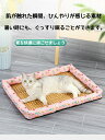 ペットマット 犬 ベッド ペットベッド 猫 籐マット 枕付き クッションマット 敷きパッド 暑さ対策 手編み 藤編み 天然素材 和式 涼しい 通気性 安全 かわ...