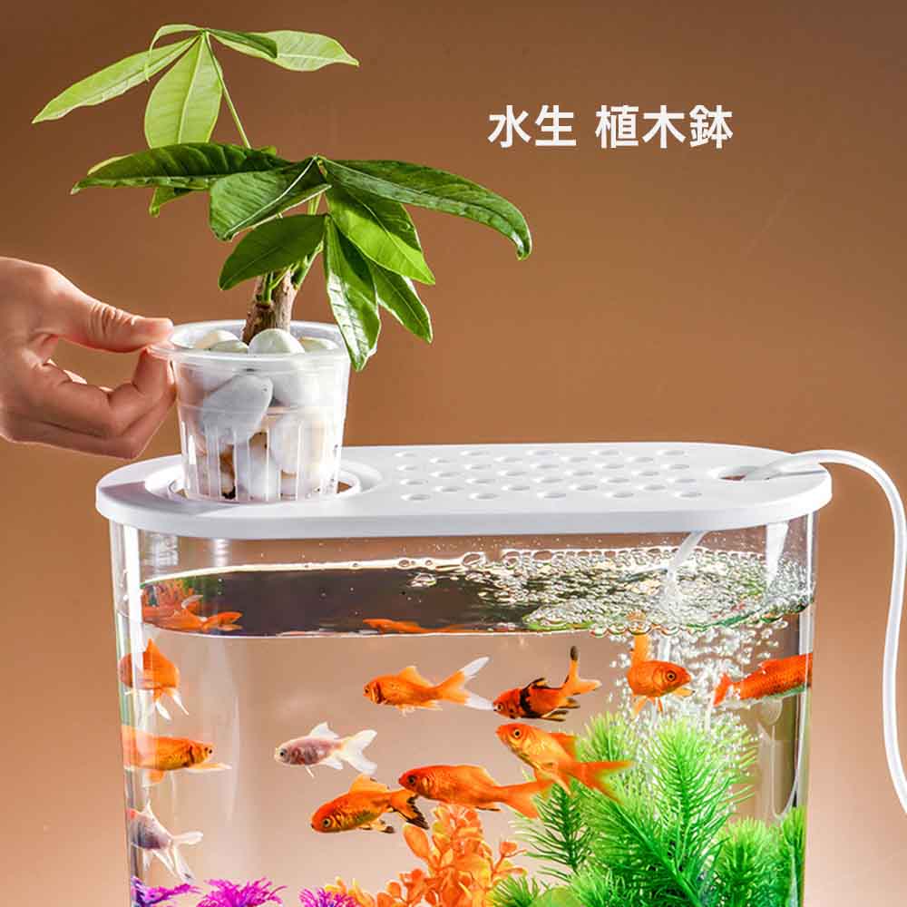 ミニ水槽 プラ製 水槽セット アクアリウム 魚飼育セット 小型水族館 メダカ 熱帯魚 卓上飾リ 多機