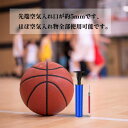 13点セット ボールポンプ 空気入れ ハンドポンプ スイムインフレータブルポンプ 多機能 スポーツボールポンプ(サッカー、バスケットボール、バレーボール、水球、ホバークラフト、水泳リング、ラグビーなど)軽量 収納便利 10本の針付 1個の延長ホース付き 1個の空气ノ