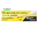 【指定第2類医薬品】エバージエルV軟膏 25g 4987307240642