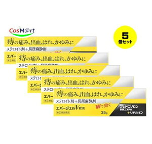 【5個セット】 【指定第2類医薬品】 中外医薬生産 エバージエル V軟膏 25g 「ボラギノールA軟膏」(天藤製薬)と同等の処方 (4987307240642-5) 【ゆうパケットにて発送】