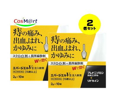 【2個セット】 【指定第2類医薬品】エバージエルVII注入軟膏 2g×10個 4987307240871-2【定形外郵便にて発送】