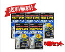 【5個セット】 【第2類医薬品】サロメチールジクロクールローション 50mL 4987316093994-5