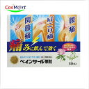 【第(2)類医薬品】ノーエチ薬品 ペインサール顆粒 30包 (4975687011389)【定形外郵便にて発送】