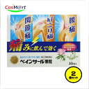 【2個セット】【第(2)類医薬品】ノーエチ薬品 ペインサール顆粒 30包 (4975687011389-2)