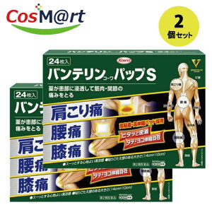 【2個セット】 【第2類医薬品】 興和新薬 バンテリンコーワパップS 24枚 ※セルフメディケーション税制対象 (4987067264100-2)