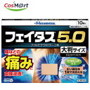 【第2類医薬品】フェイタス5.0 大判サイズ 10枚 ※セルフメディケーション税制対象4987188124468